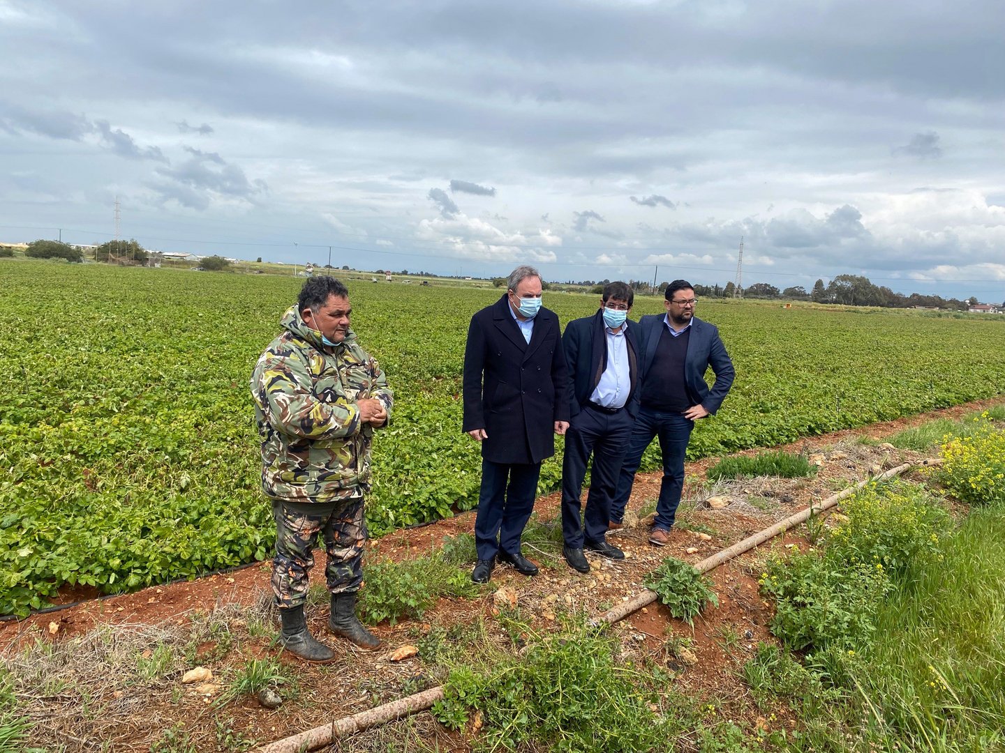 image Potato farmers rue ruined crop, seek support