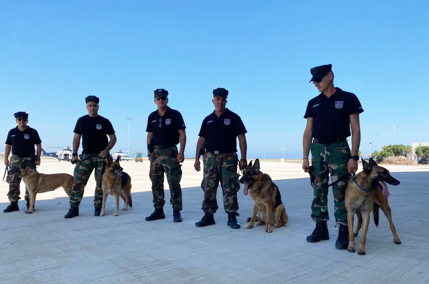 image Ministry announces awards for animal rescue
