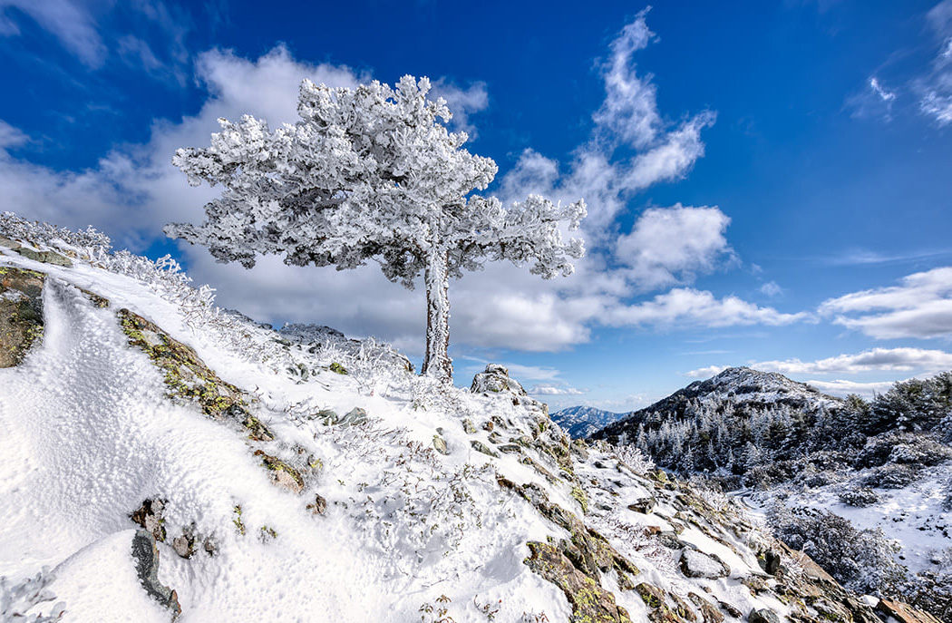 image Coldest ever March recorded in Limassol, Larnaca, central Nicosia