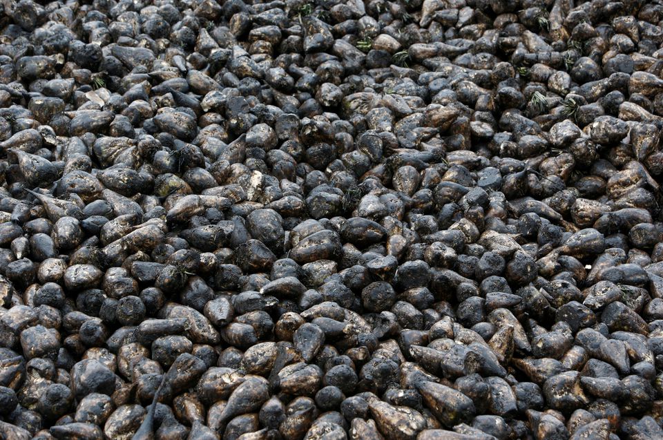 image Sugar rush: Russia probes price hikes and &#8216;unjustified&#8217; shortages