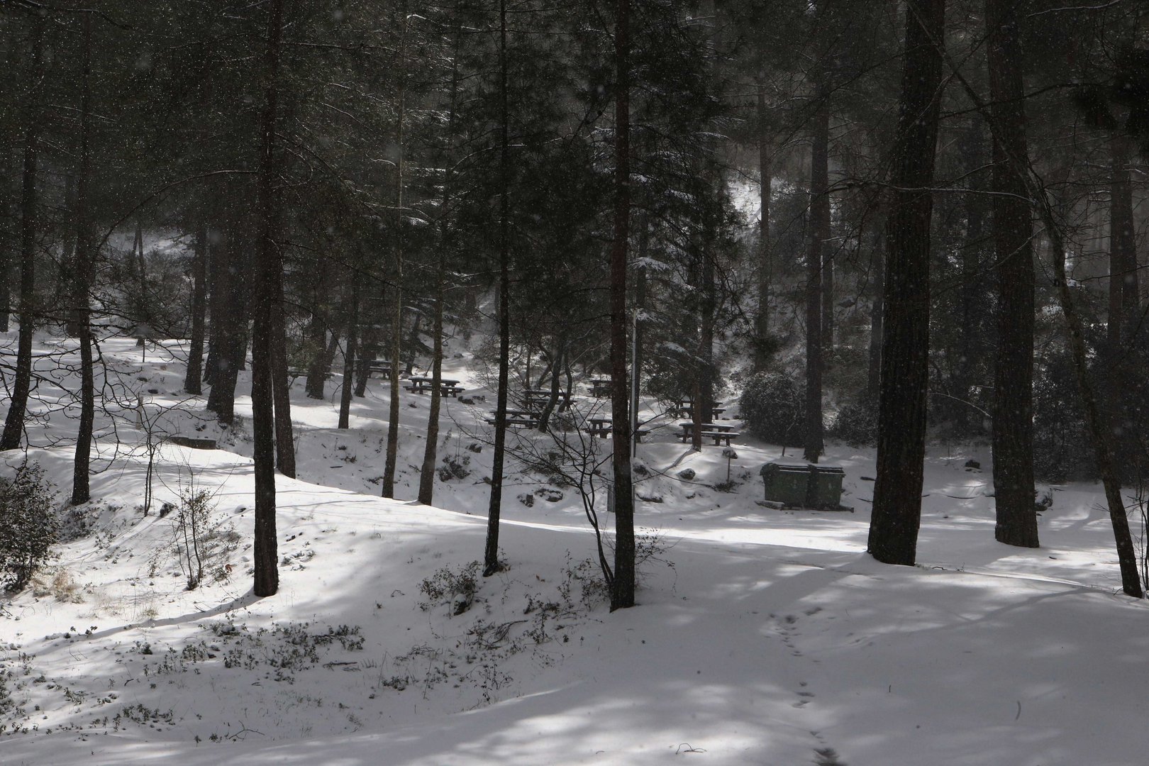 image Police: no report of Turkish Cypriot ‘attack’ in Troodos