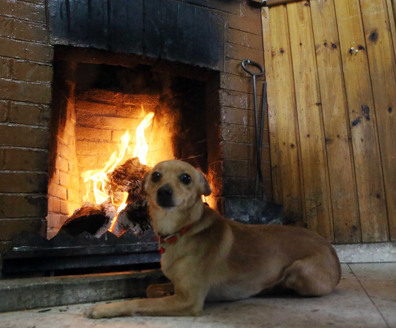 image Unseasonable cold snap set to continue
