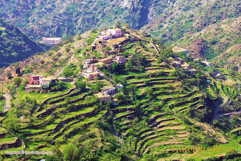 image What’s Eaten Where: Asir