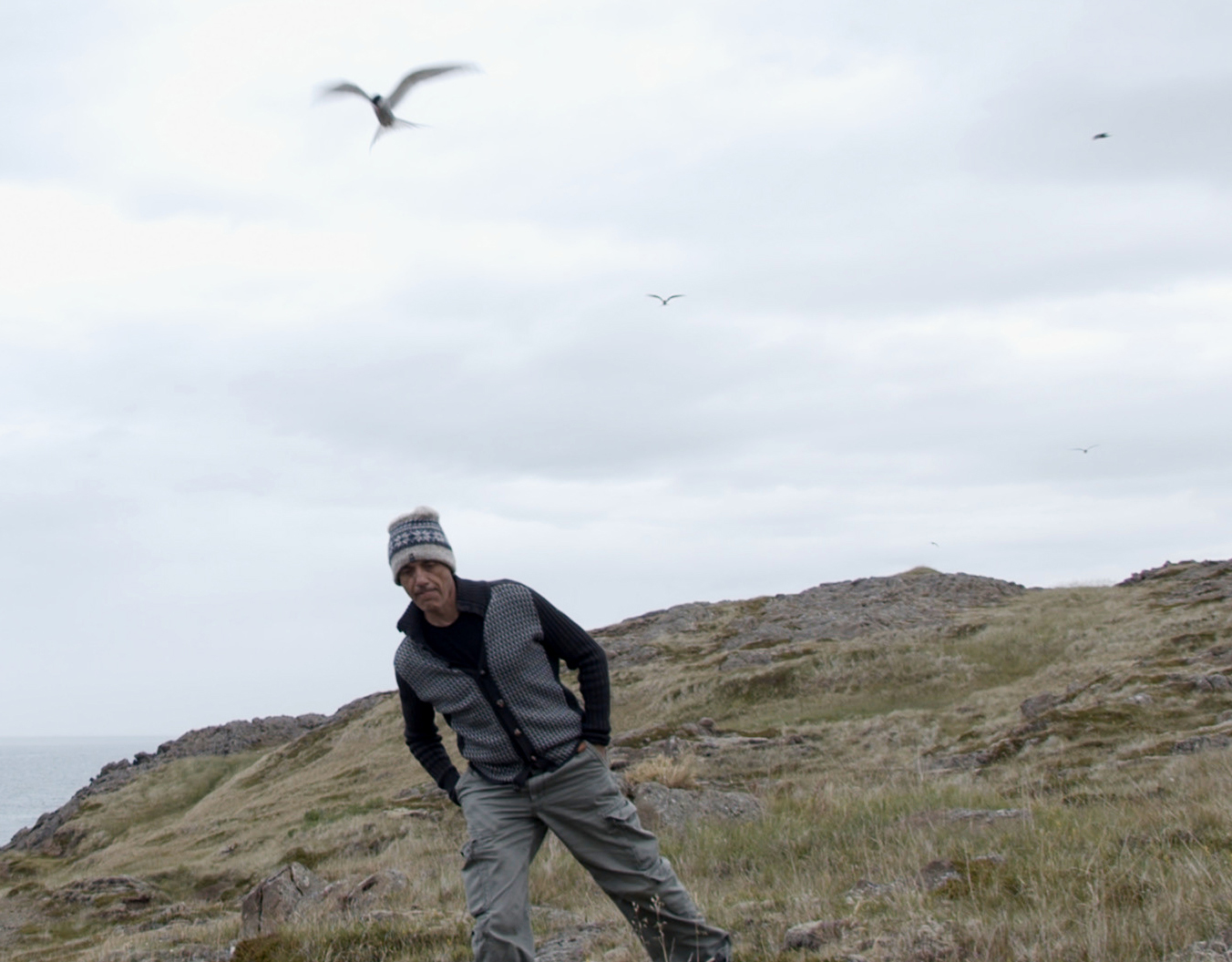 image Therianthropes: video art, photography exhibition looks at man and nature