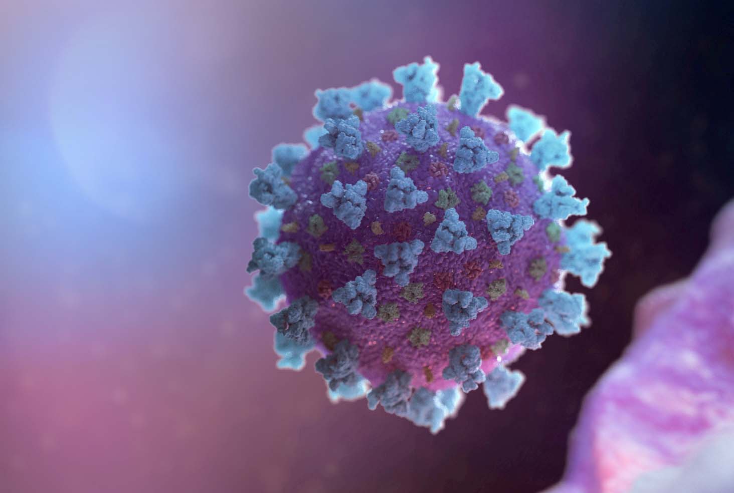 image 279 new cases of coronavirus announced in the north on Wednesday