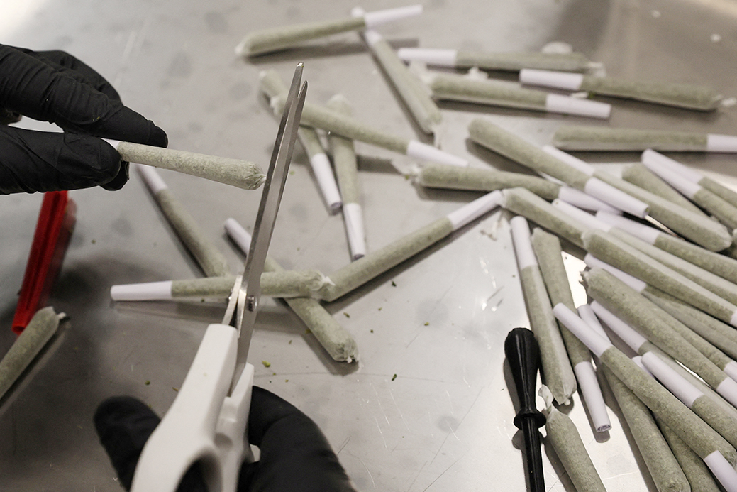 image Arrests for drug production and illegal entry