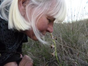 libby urquhart of scottish ngo arch network enjoys the smell of a cyprus bee orchid