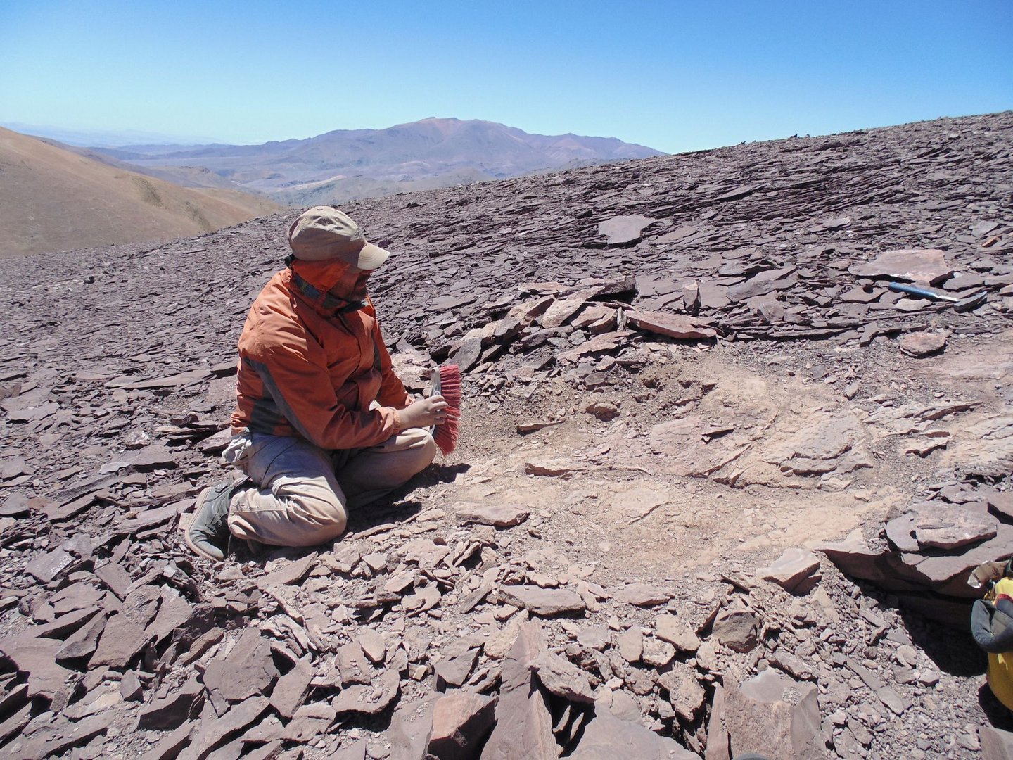 image Scientists discover ancient cemetery of flying reptiles in Chile&#8217;s Atacama desert