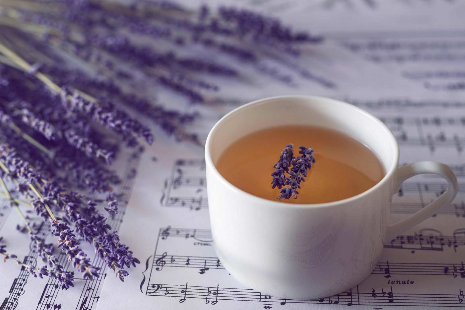 image Do sleep teas really work?