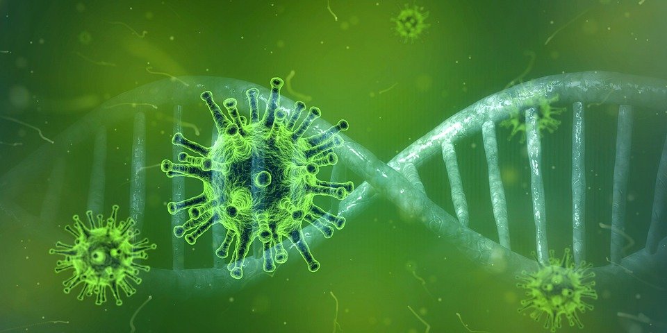 image Coronavirus: One death, 1,869 new cases in past week