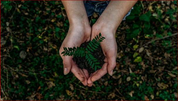 image Environmental protection expenditure around 1.5% of GDP