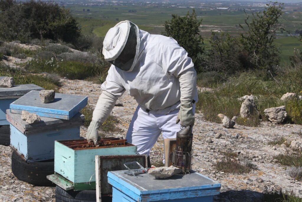 feature gina christos has been producing his own honey for the last four years (christos theodorides)