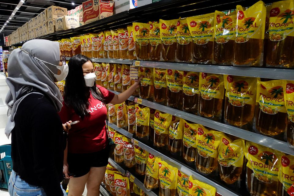 image Indonesia&#8217;s palm oil export ban will hurt other countries