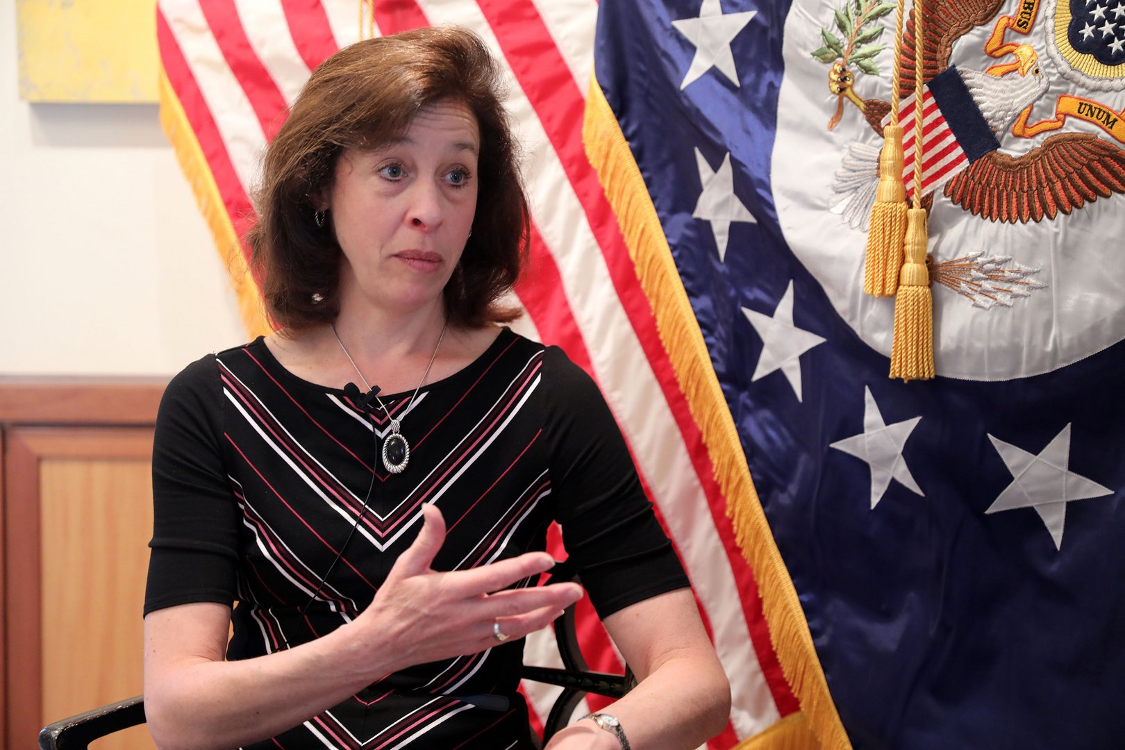 image East Mediterranean critical for energy security, says US official (video)