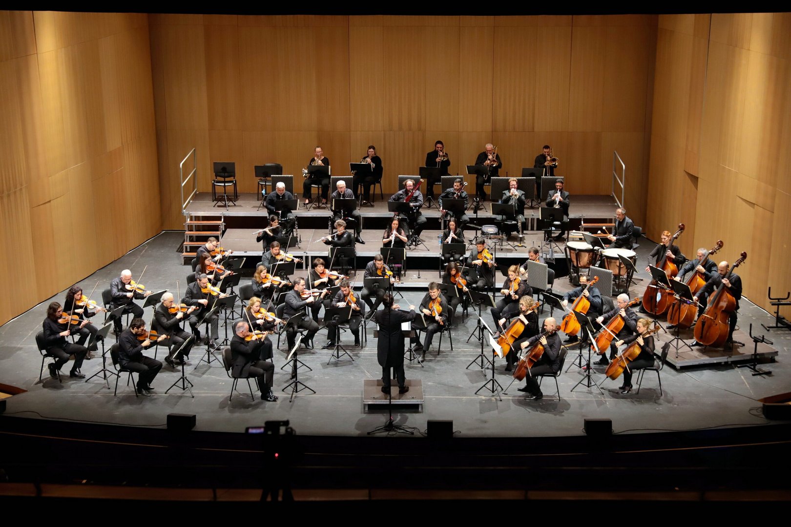 new maestro cyso panoramic 2022 (1)