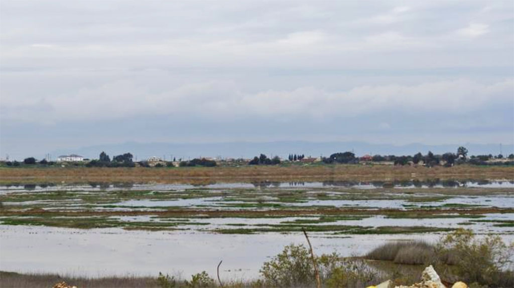 image Compensation for Paralimni lake property owners upped to €380,000