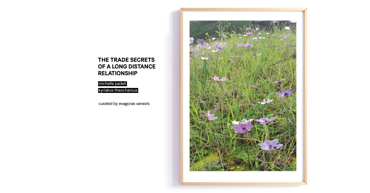 image Last few days for The Trade Secrets of a Long Distance Relationship exhibition