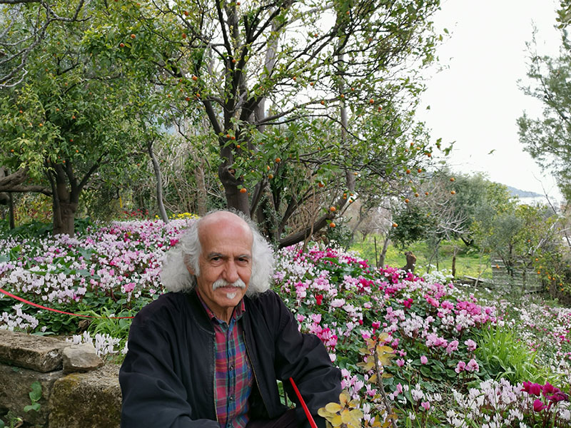 image The man with the greenest fingers in Cyprus