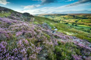 travel the north york moors