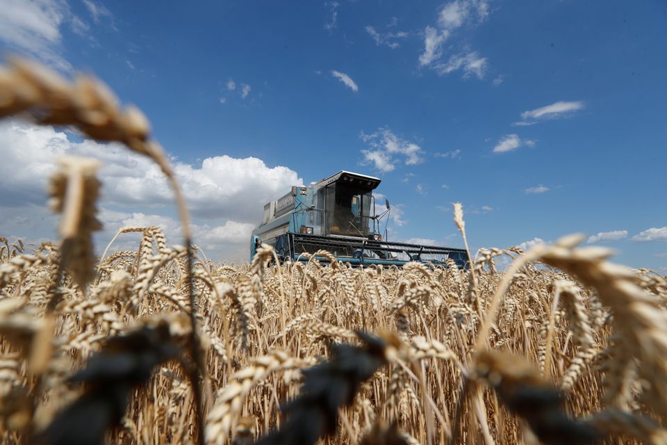 image War to slash Ukraine&#8217;s GDP output by over 45 per cent, World Bank forecasts
