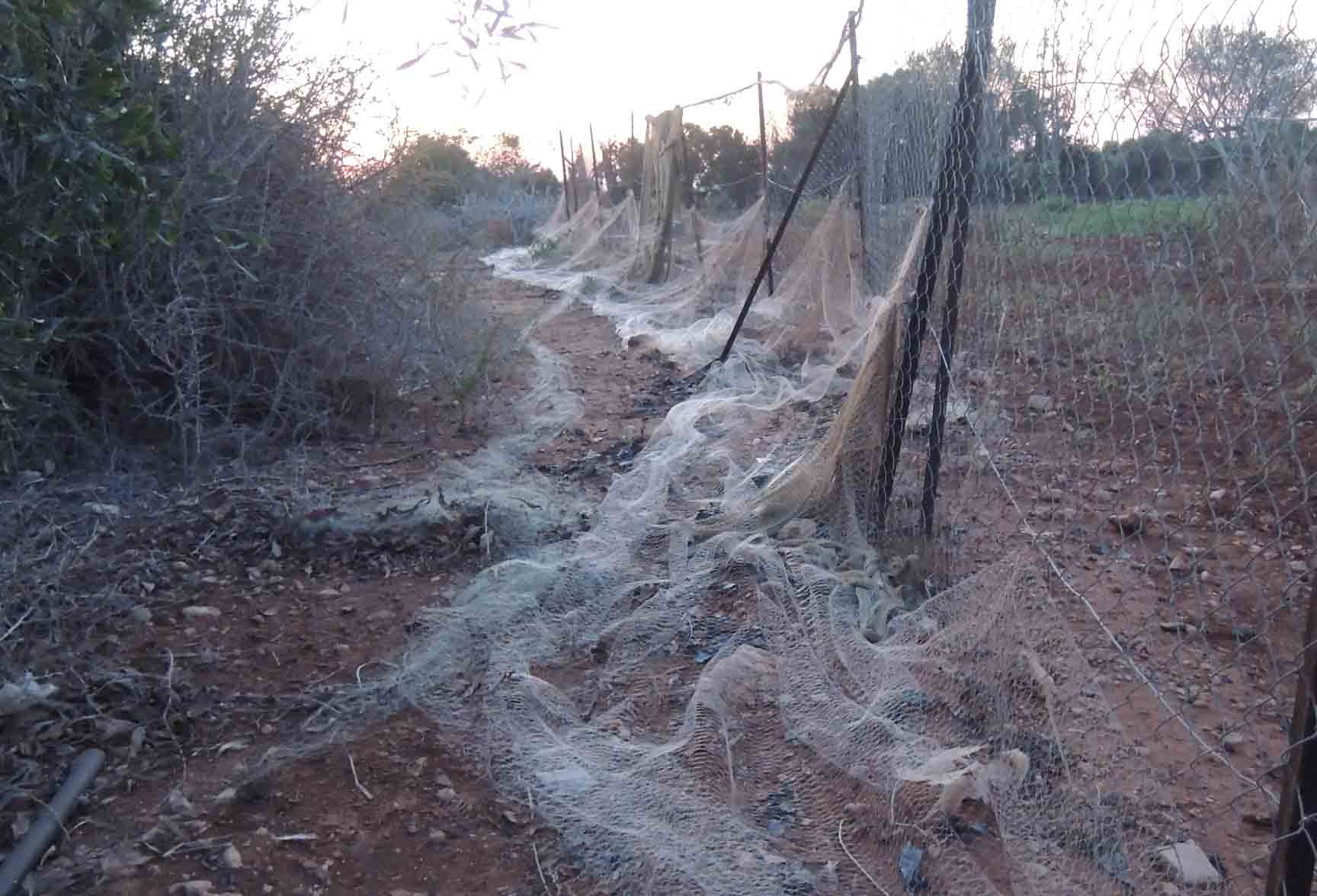 image Bird group calls for ban on ground nets