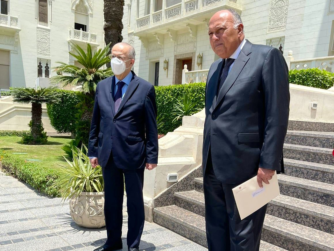 image Kasoulides meets Egyptian counterpart in Cairo