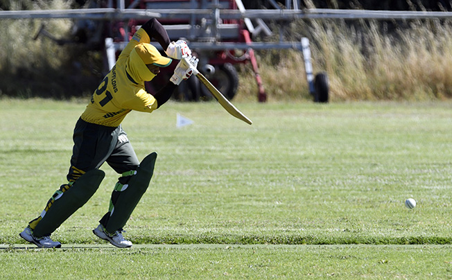 image Punjab Lions, Black Caps and Sri Lanka Lions continue good start