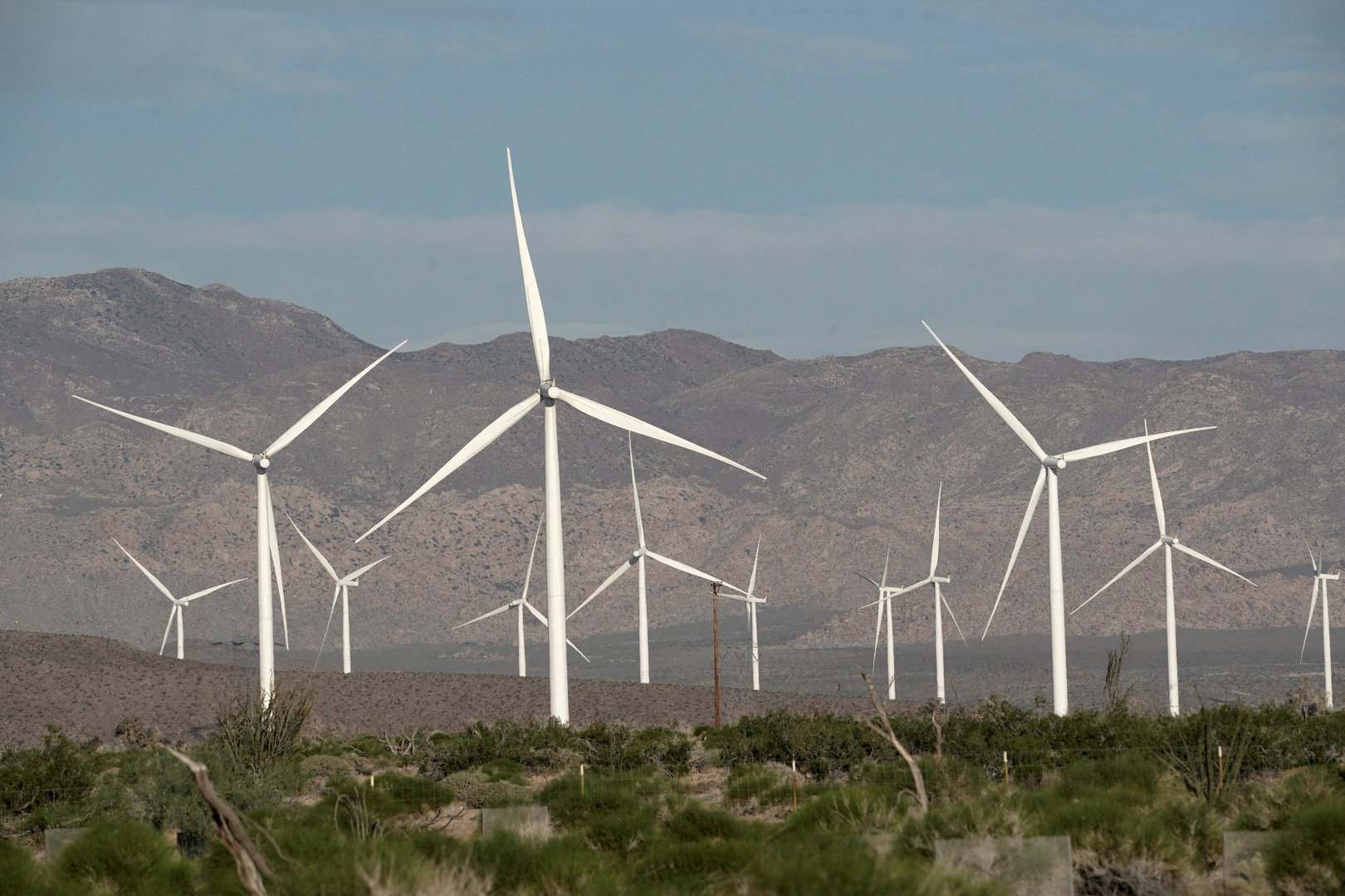 image EU plans one-year renewable energy permits for faster green shift