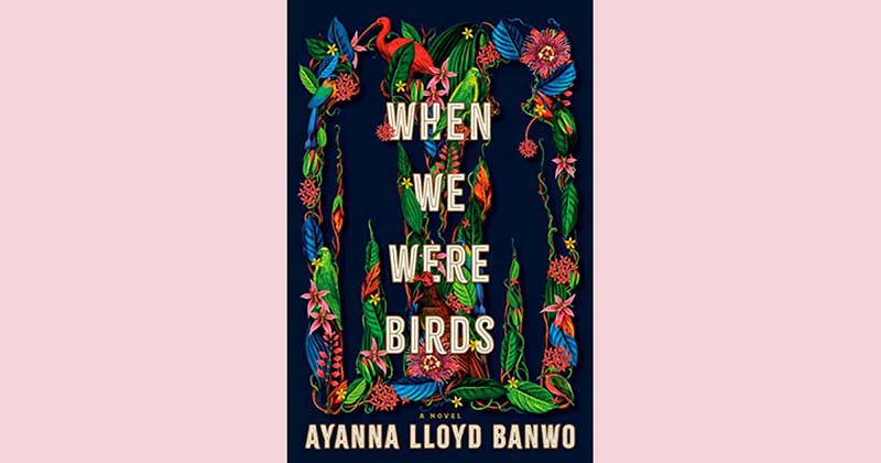 image Book review: When We Were Birds by Ayanna Lloyd Banwo