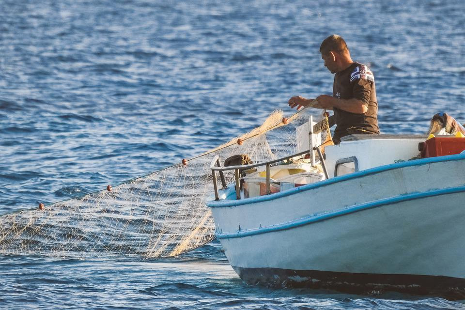 image Cyprus committed to improving fish stocks