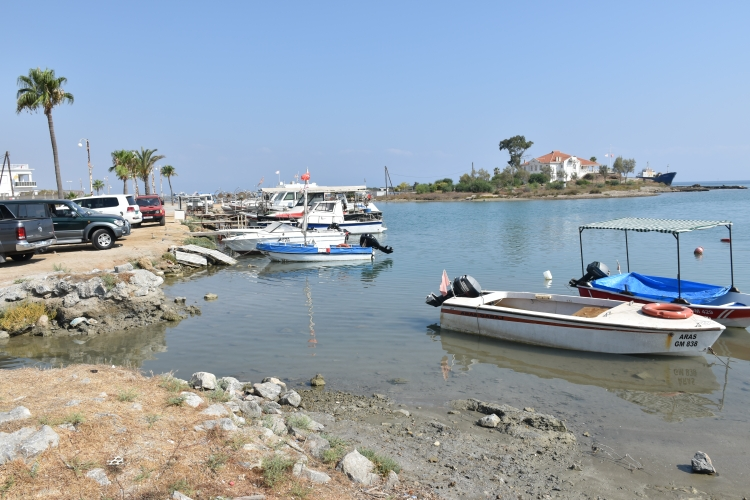 image Untreated waste in Famagusta port halts fish sales to Greek Cypriots