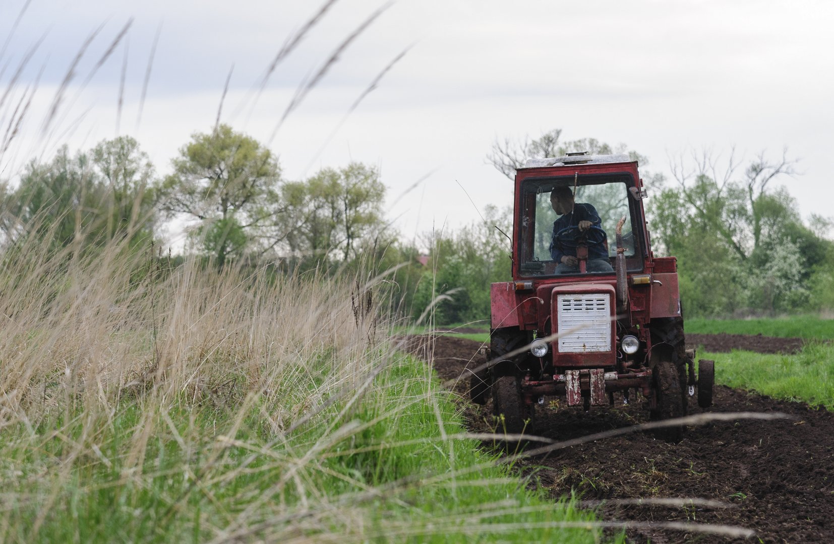 image UN had &#8216;constructive&#8217; talks in Moscow on Russian grain, fertilizer exports (Updated)