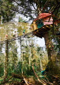 travel a tree climbing canopy at wow park
