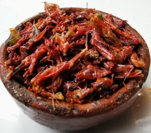 whats eaten2