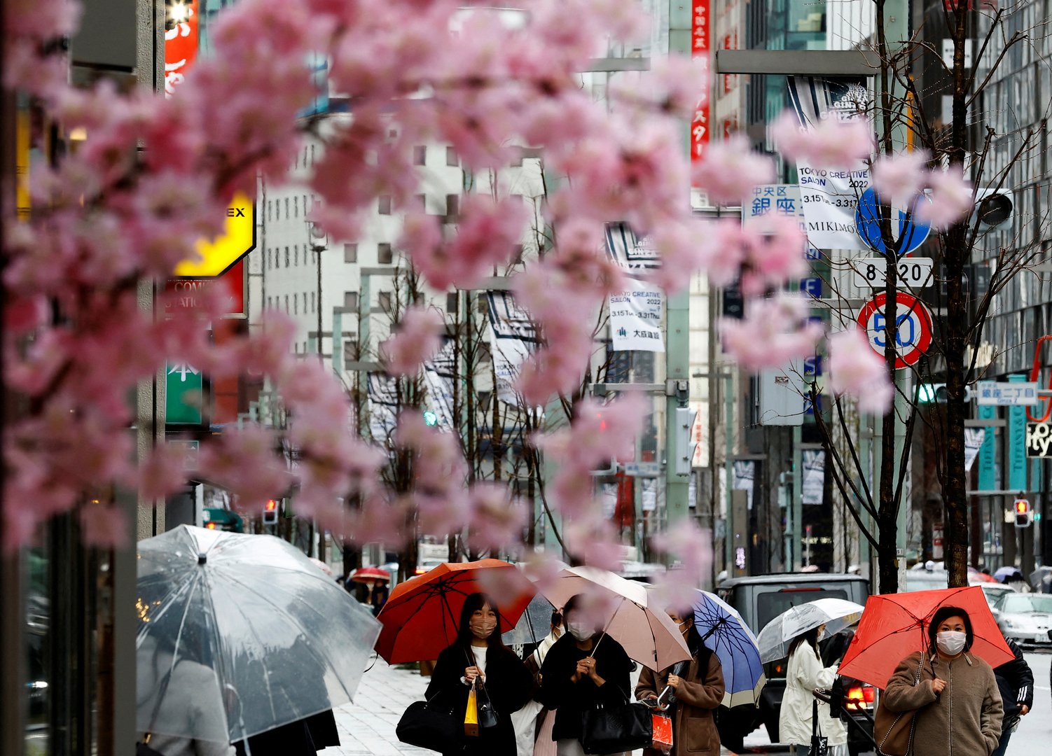 image Japan to open to tourists after two years but only with masks, insurance, guides