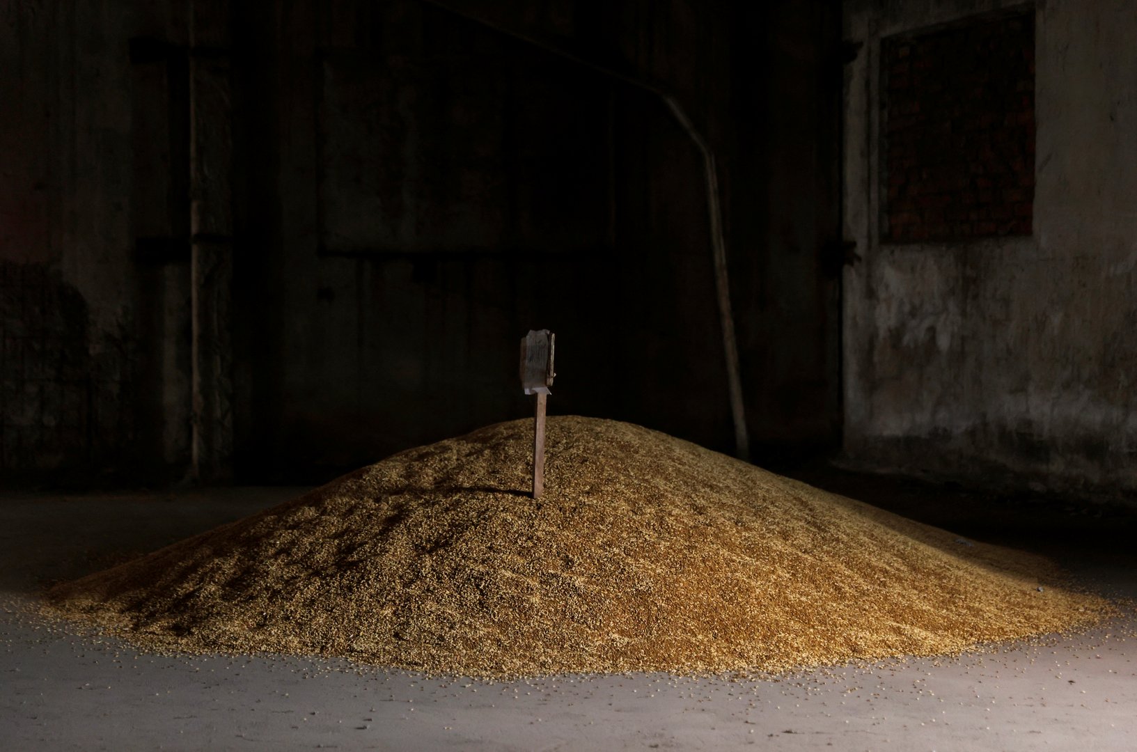 image Moscow-backed Luhansk region in Ukraine to send &#8216;liberated&#8217; grain to Russia -Tass