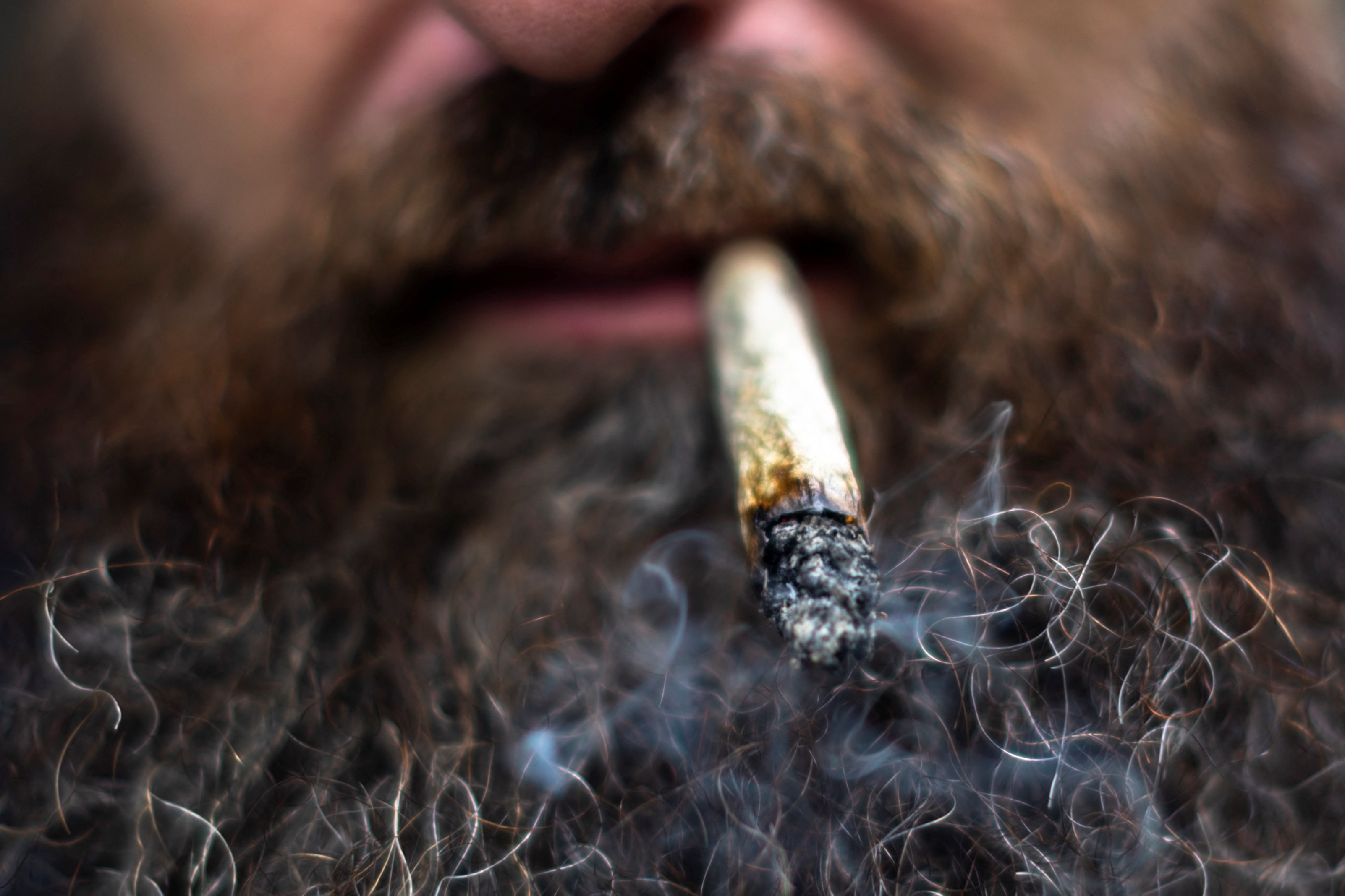 image Cannabis use has risen with legalization and COVID lockdowns -U.N. report