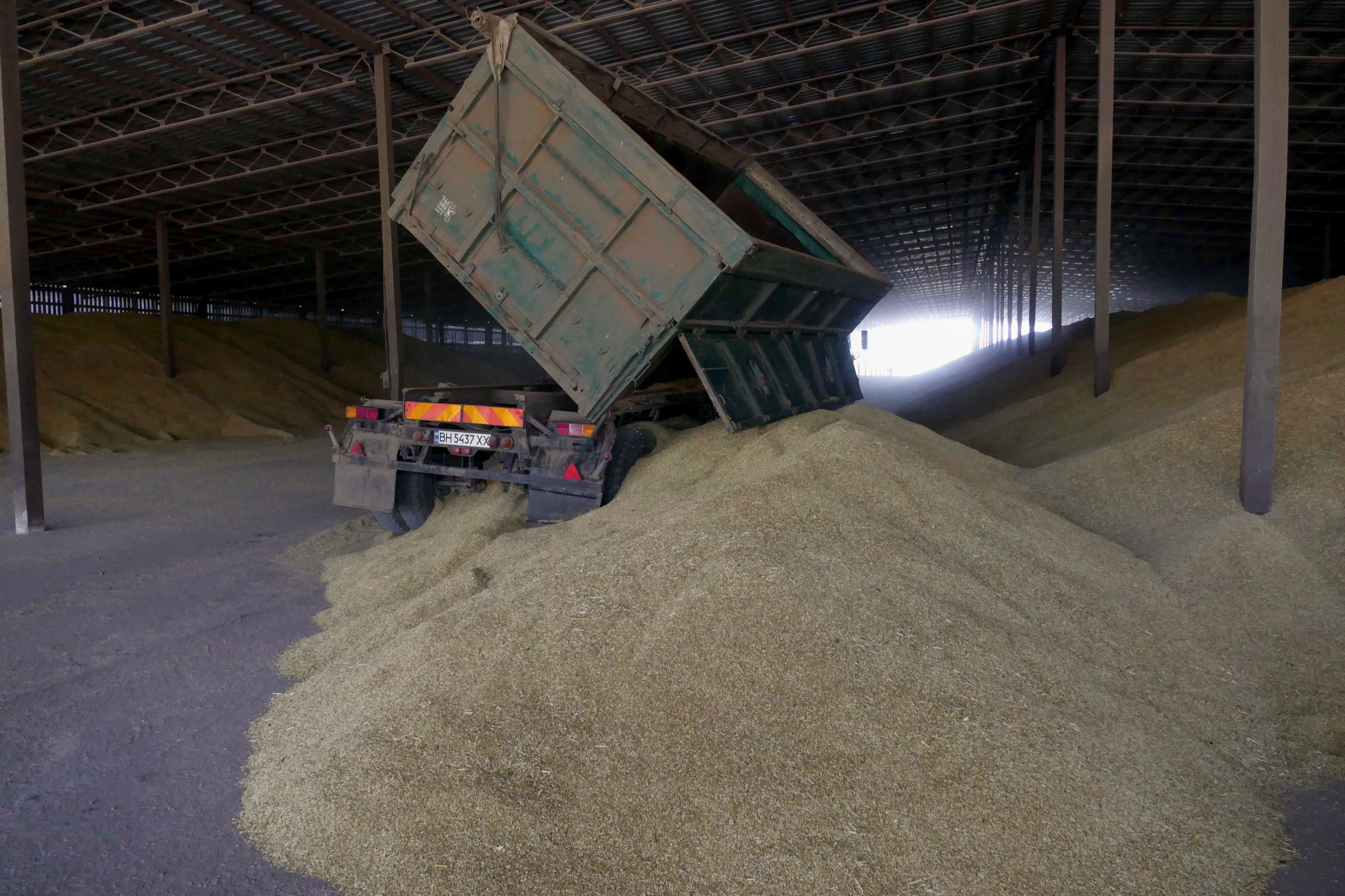 image Kremlin insists Russia has not stolen Ukrainian grain as Turkey investigates