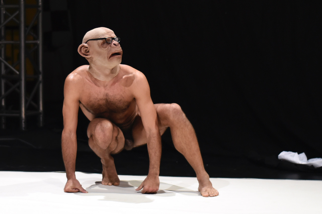 image Buffer Fringe Performing Arts Festival returns for 9th edition