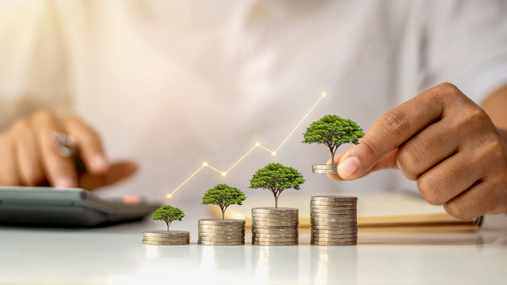 image Why financial institutions are banking on sustainability
