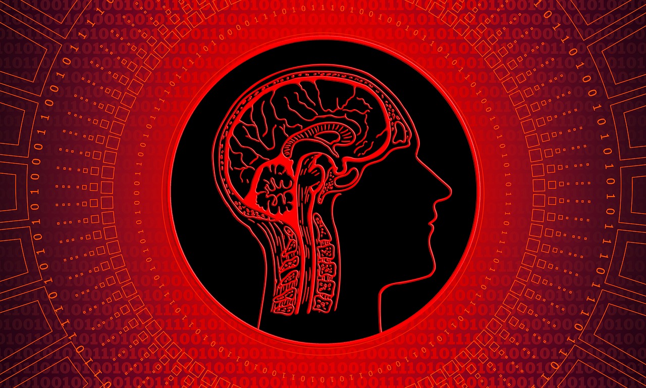 image How drugs affect the human brain and the nervous system