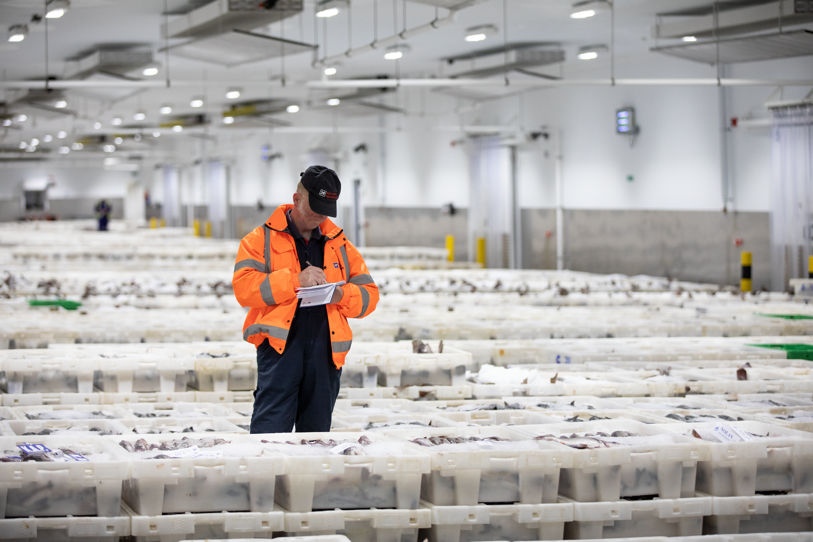 image The importance of cold chain logistics for perishable and refrigerated goods