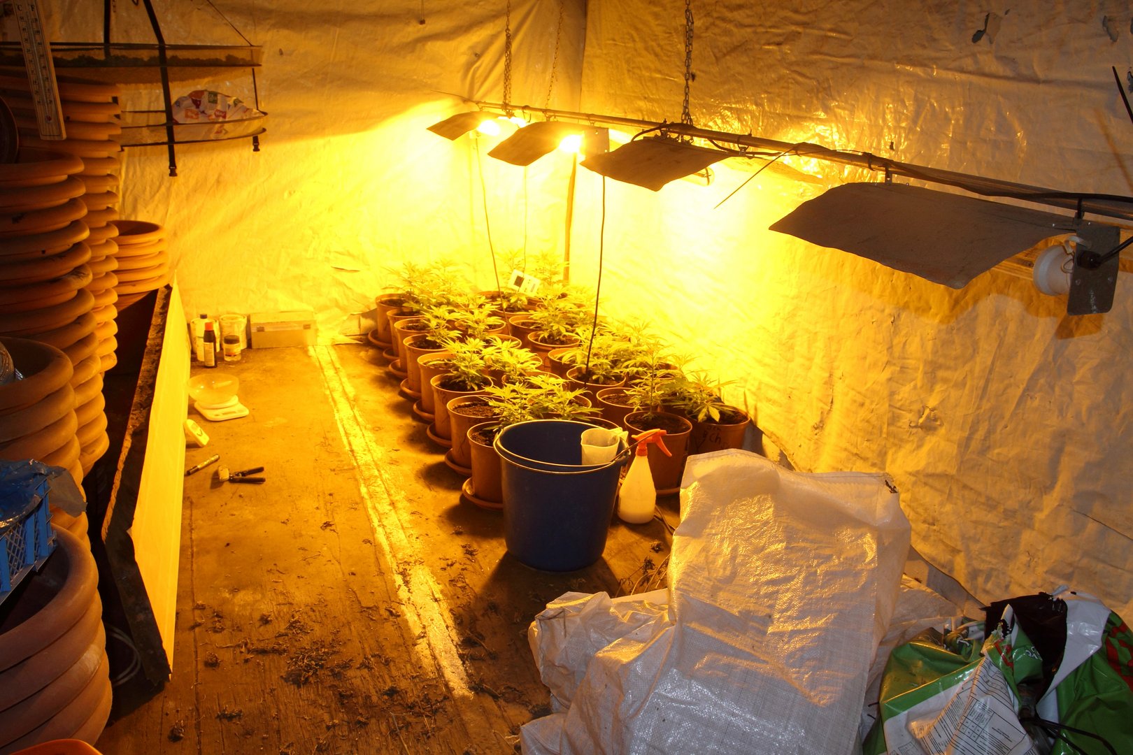 image Bases police make 31 drug arrests since March