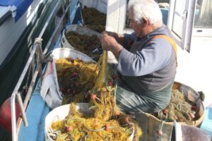 feature chris fishermen are also struggling with damage to their nets