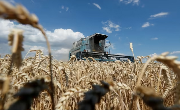 image No end to Ukraine war in sight, hunger crisis looms &#8211; UN