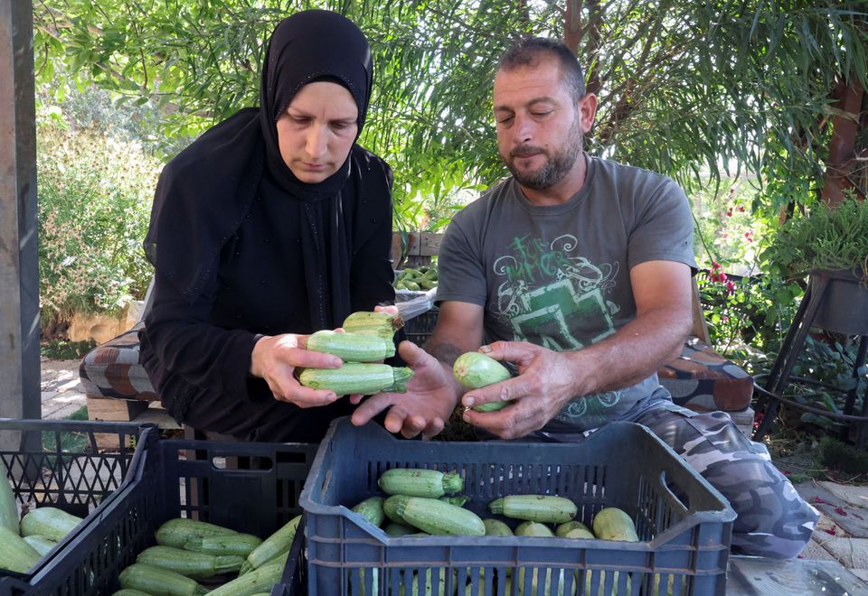 lebanon lebanese economy farming 2