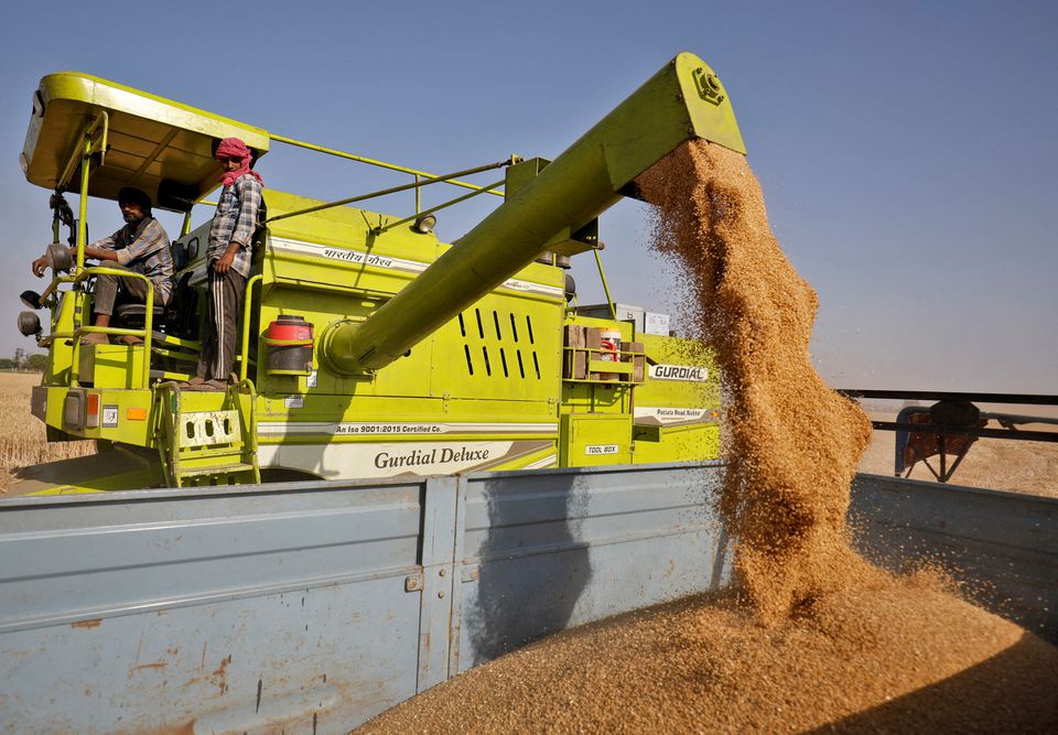 image UAE to suspend exports of Indian wheat for four months