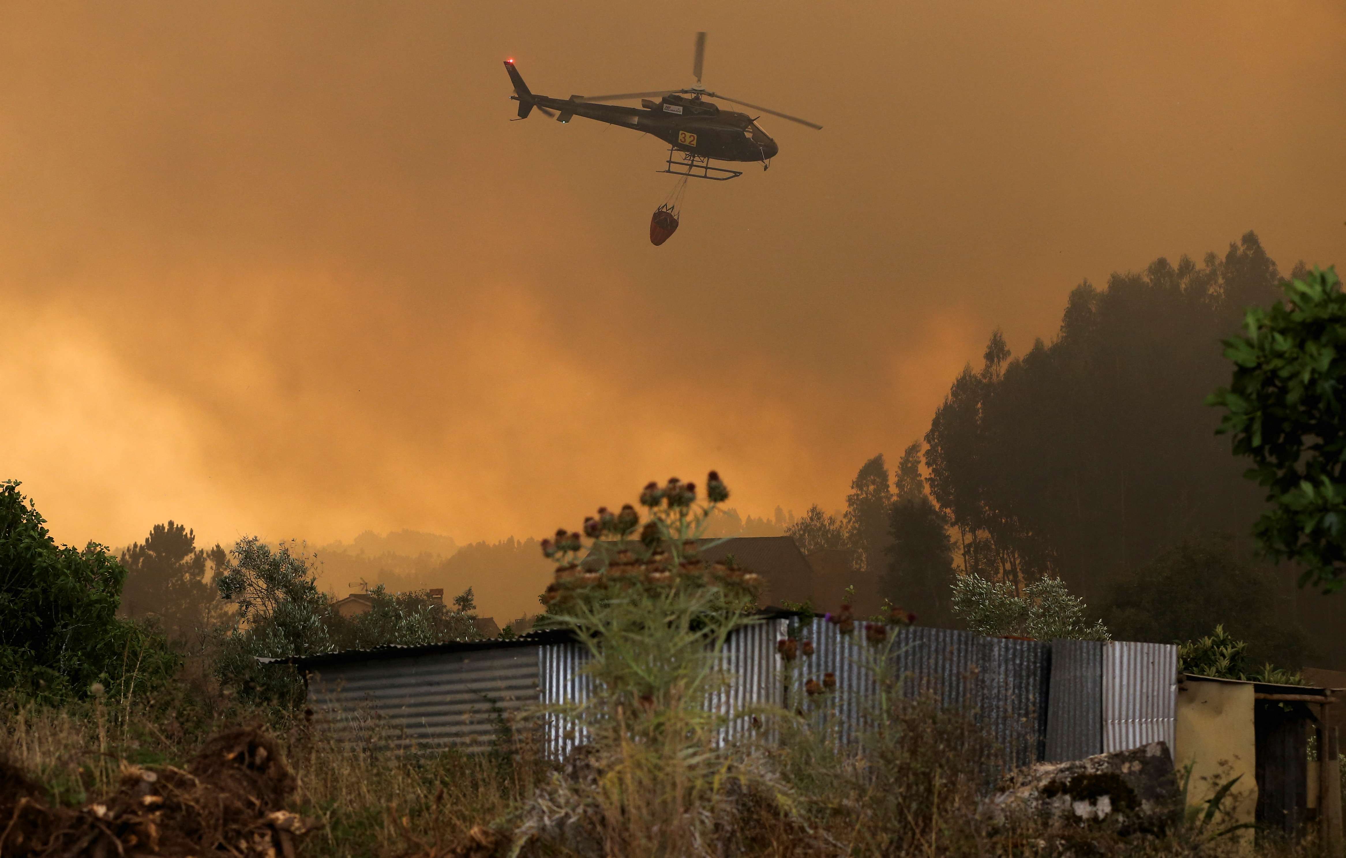 image Scorching heatwave sparks wildfires in Europe