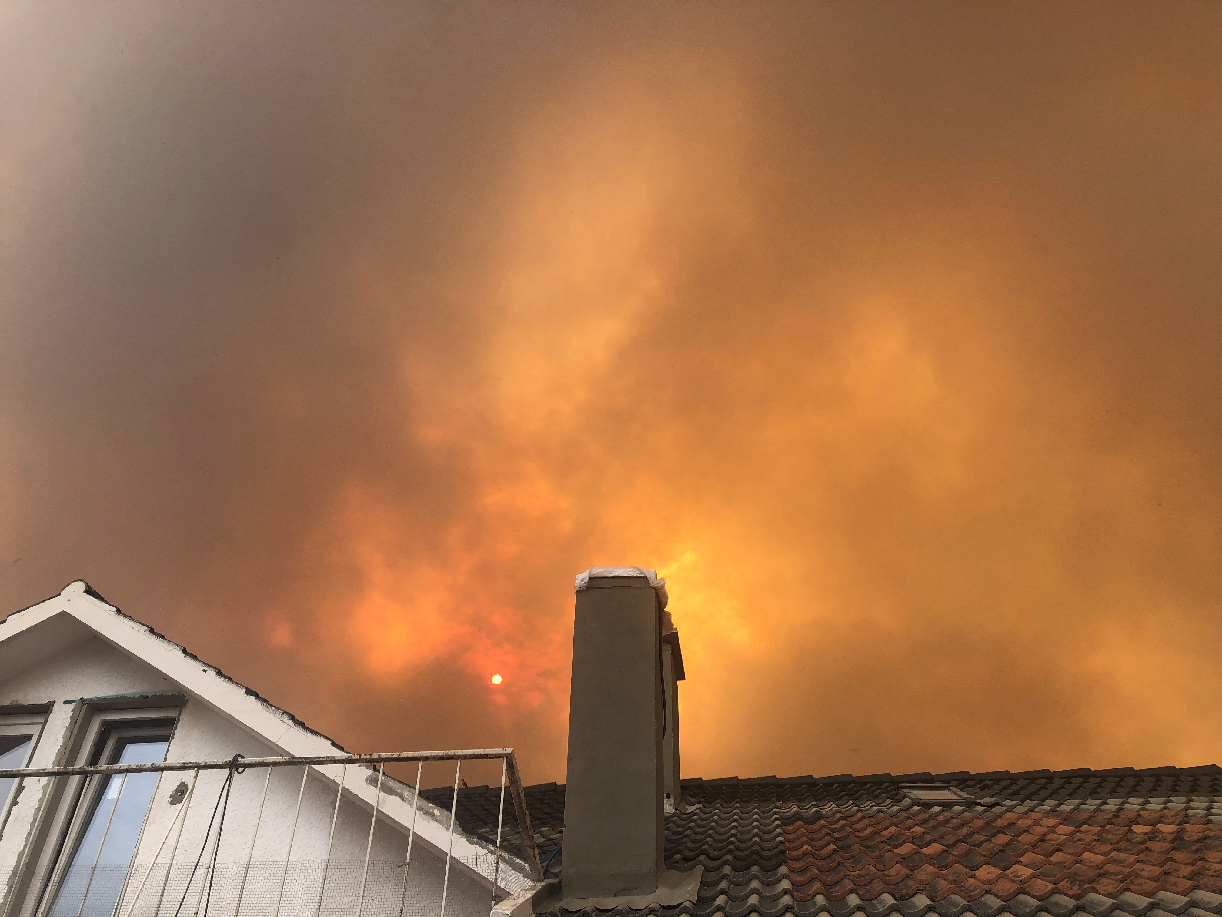 image As Europe bakes in heatwave, wildfires rage from Portugal to Croatia