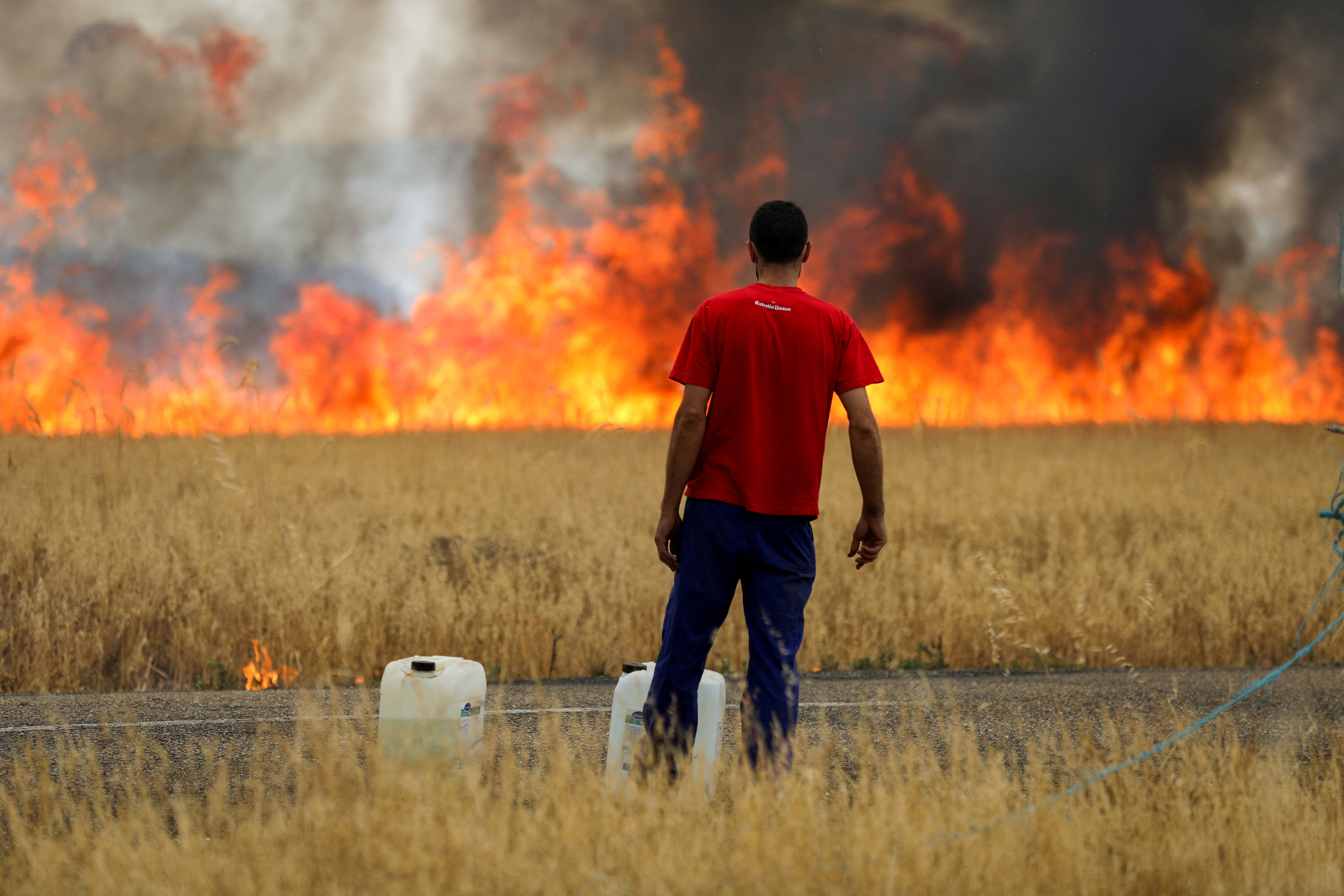 image Record temperatures scorch Europe, as wildfires rage across south